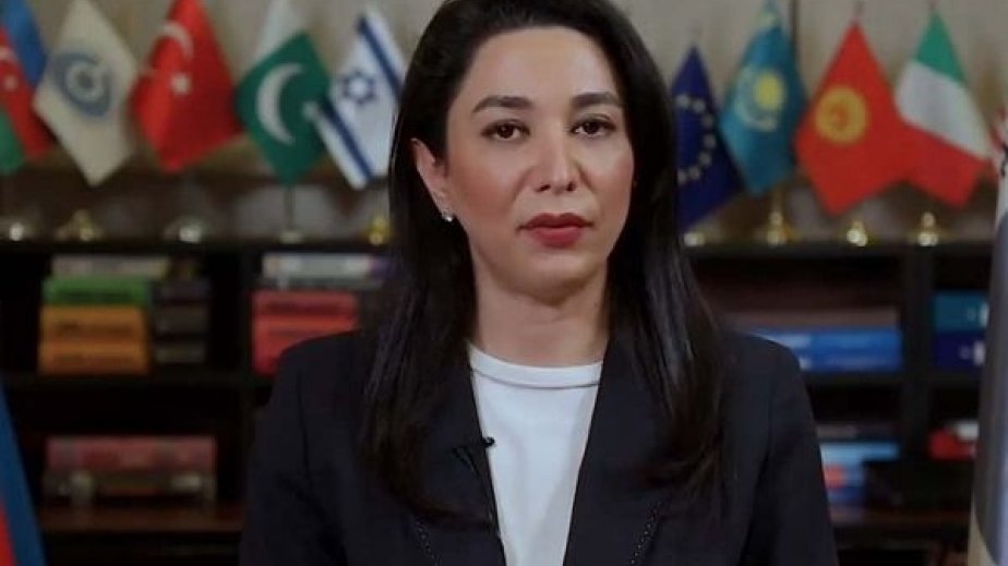 Ombudsman: Azərbaycan Bayrağının təhqir edilməsi Ermənistanda ölkəmizə qarşı nifrət siyasətinin nəticəsidir