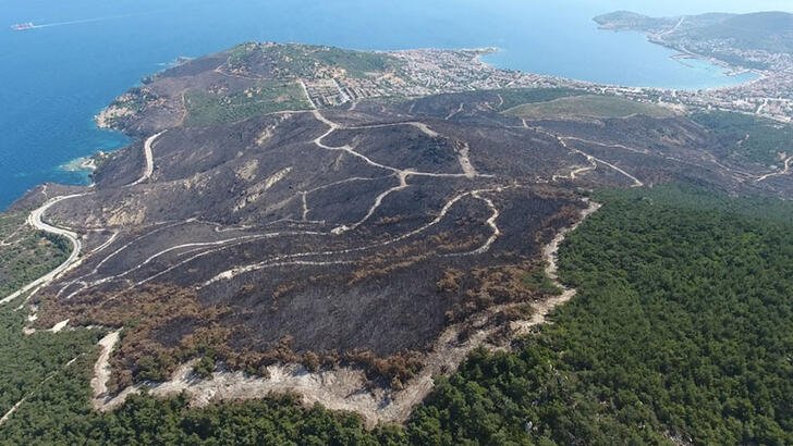 20 günde 295 orman yangını çıktı; 3 bin 160 hektar alan zarar gördü