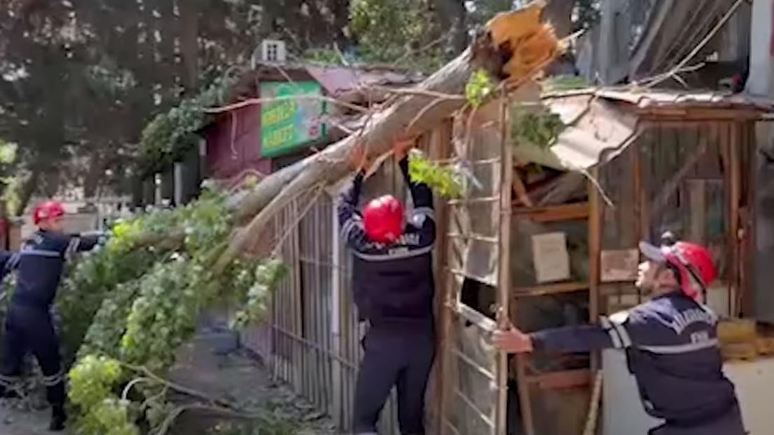 FHN güclü küləyin törətdiyi fəsadların aradan qaldırılması istiqamətində zəruri tədbirlər görüb