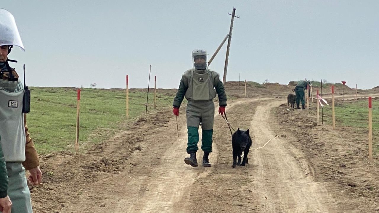 US hands over six more sapper dogs to Azerbaijan