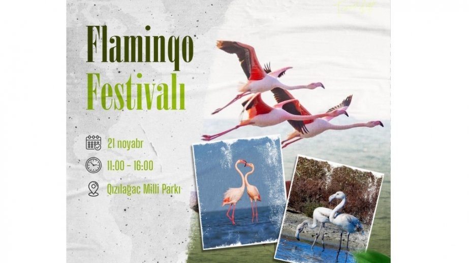 Qızılağac Milli Parkında “Flaminqo festivalı” keçiriləcək