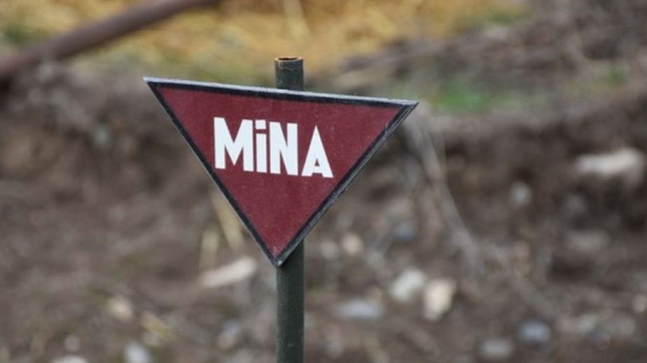 ANAMA-nın nümayəndəsi: Azad olunmuş ərazilərdə 148 min hektara yaxın sahə yüksək səviyyədə çirklənib