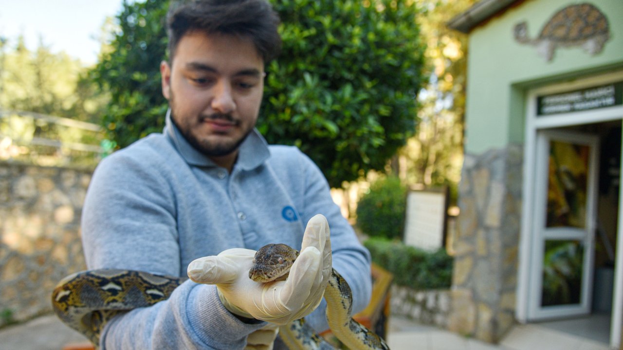 Koruma altındaki 'egzotik' hayvanlara ziyaretçi yoğunluğu