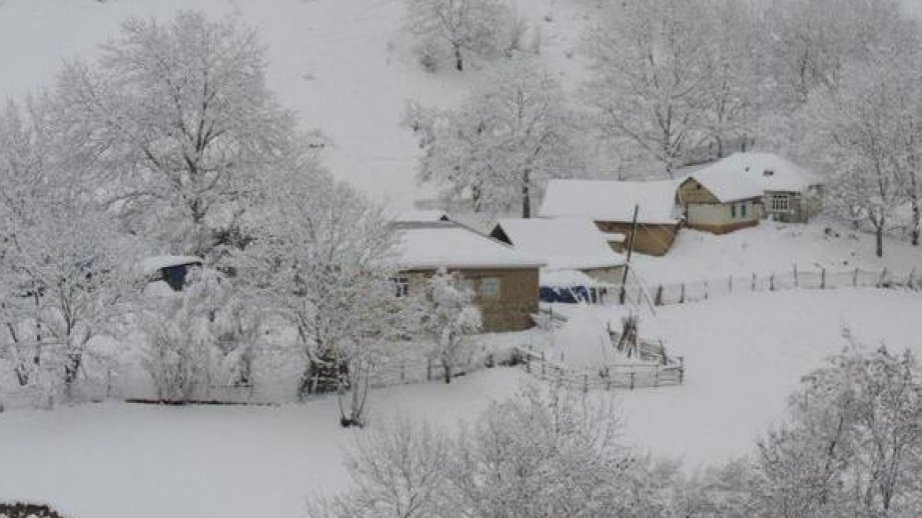 Qaxın Sarıbaş kəndində qar örtüyünün hündürlüyü 12 santimetrə çatıb