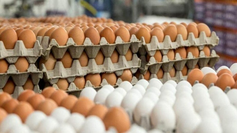 Assosiasiya: Yumurtanın qiymətinin artırılması üçün heç bir iqtisadi əsas yoxdur