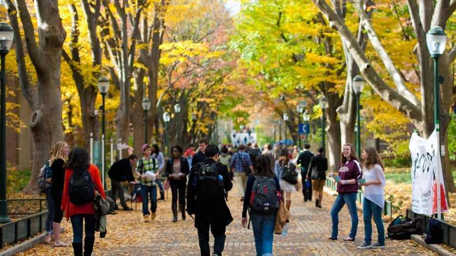 Bakıda yeni bilik-biznes rayonu yaradılacaq