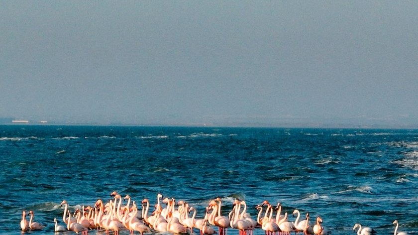 Bayram günlərində Azərbaycanın milli parklarına 5 mindən çox turist səfər edib