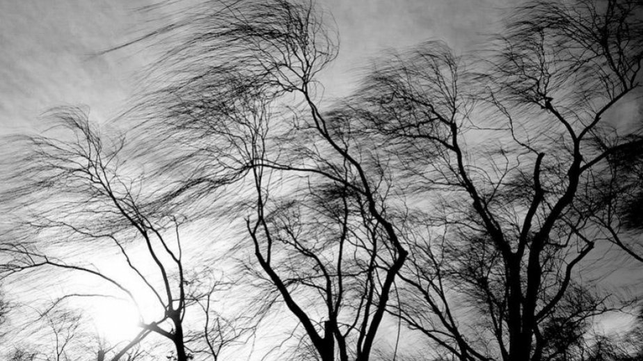 Bakıda güclü şimal-qərb küləyi əsir, Gədəbəydə qar yağır – FAKTİKİ HAVA