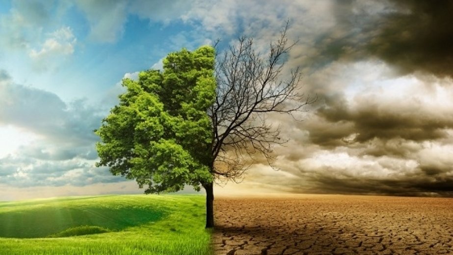 COP29: İqlim dəyişikliyi ilə mübarizədə Azərbaycan modeli