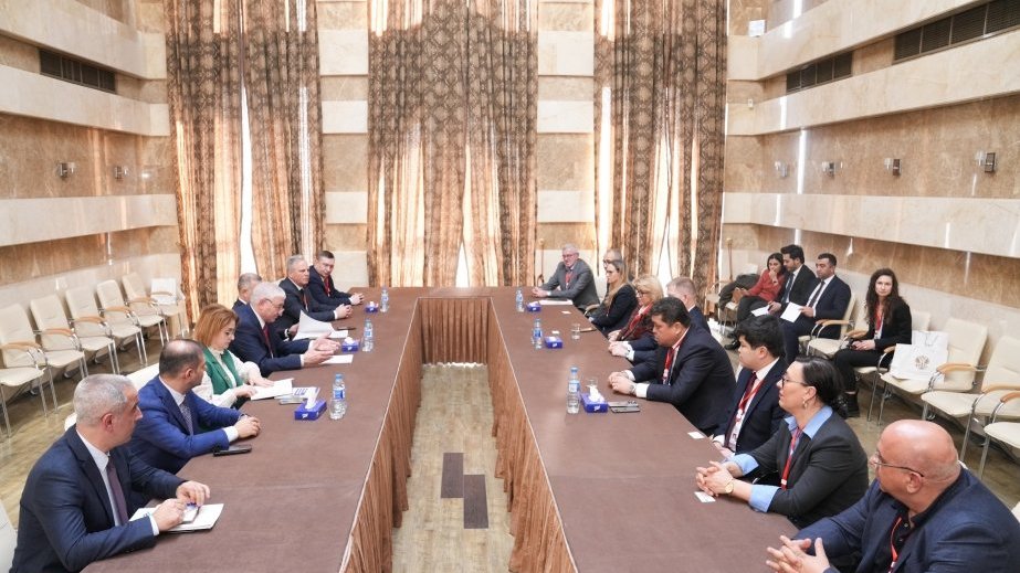 Məzahir Pənahov bir sıra ölkələrin Mərkəzi Seçki Komissiyasının nümayəndələri ilə görüşüb