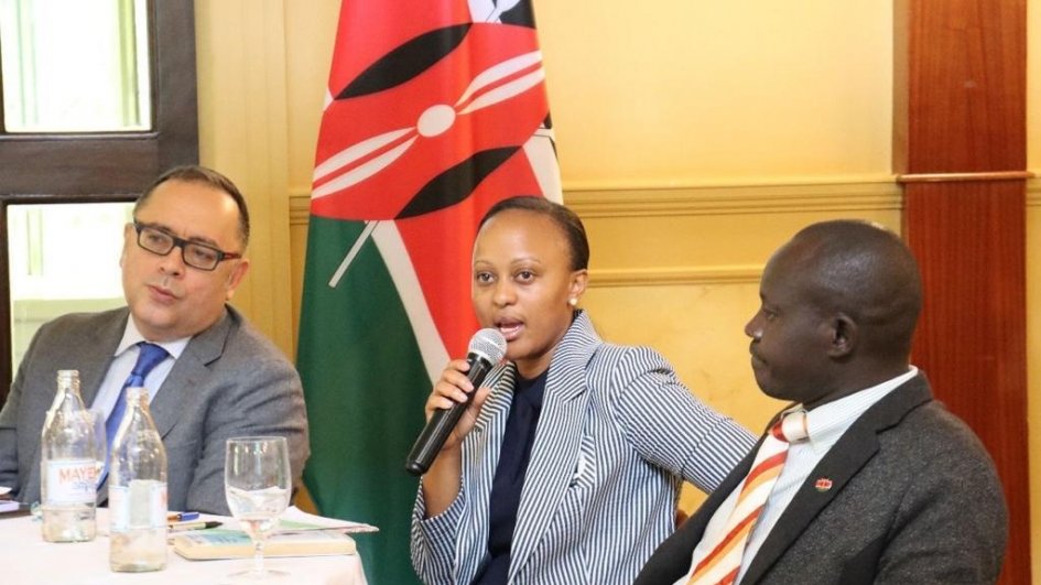 COP29-un Azərbaycan üzrə “Gənclər İqlim Çempionu” Keniya gənclər təşkilatlarının nümayəndələri ilə görüşüb