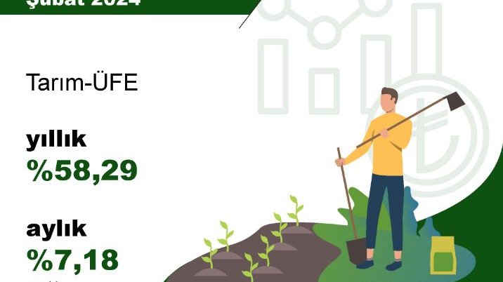 TÜİK: Tarım üretici fiyatları yıllık yüzde 58,29 arttı