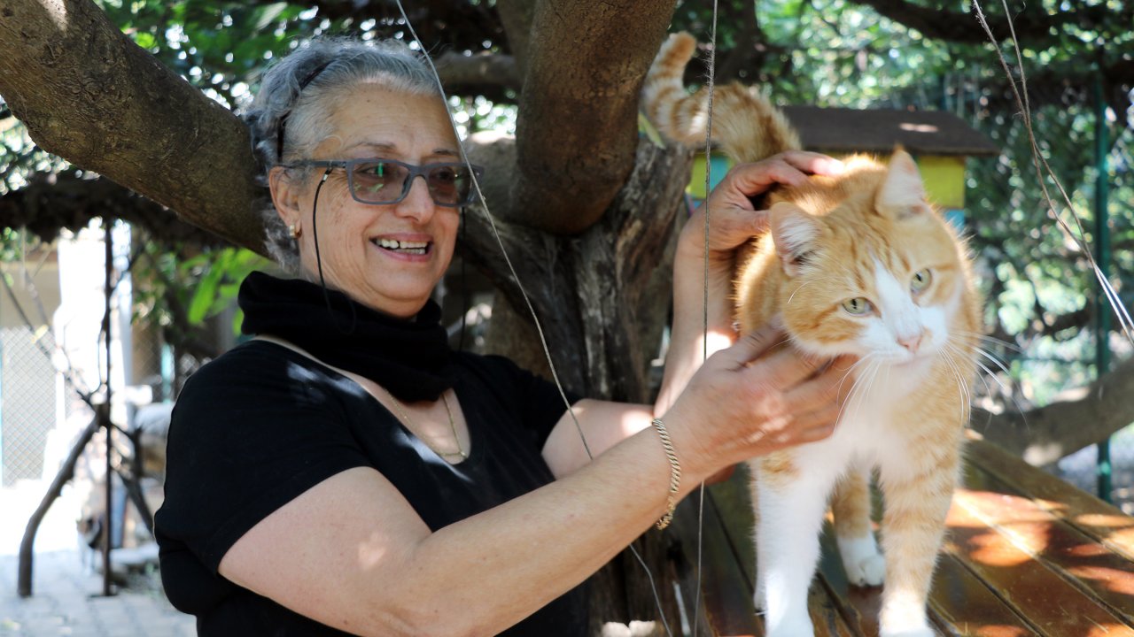 Norveçli Fari, kurduğu merkezde yüzlerce hayvanın hayatına dokundu