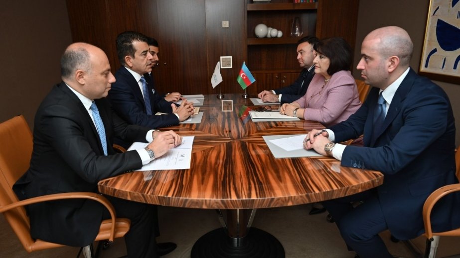 Milli Məclisin sədri ICESCO-nun Baş direktoru ilə görüşüb