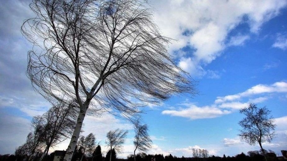 DYP gözlənilən küləkli hava şəraiti ilə əlaqədar sürücülərə müraciət edib
