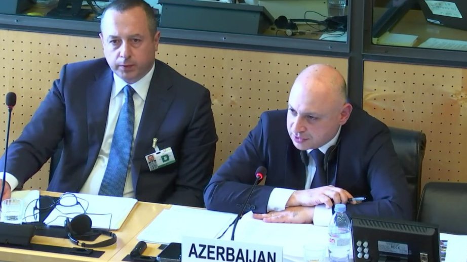 XİN: Azərbaycan BMT-nin insan hüquqları sahəsində müvafiq müqavilə qurumları ilə əməkdaşlığa böyük önəm verir