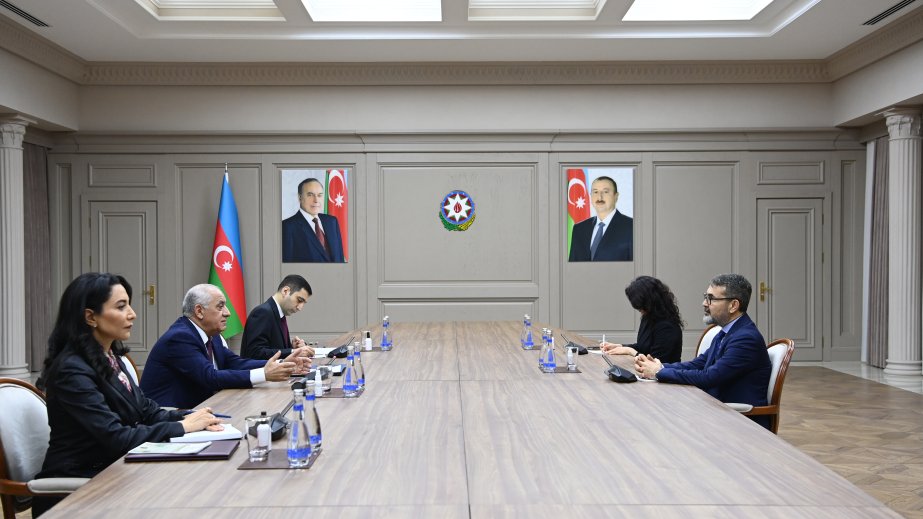 Baş nazir Əli Əsədov Türkiyənin İnsan Hüquqları və Bərabərlik Qurumunun sədri ilə görüşüb