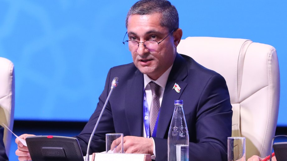 Soltan Məmmədov: Azərbaycan bəşəriyyətin ümumi sərvəti hesab olunan dəyərlərin mühafizəsində fəal iştirak edir