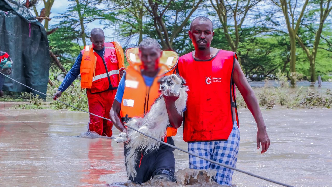 Kenya flood disaster: Death toll announced as 166, 132 missing