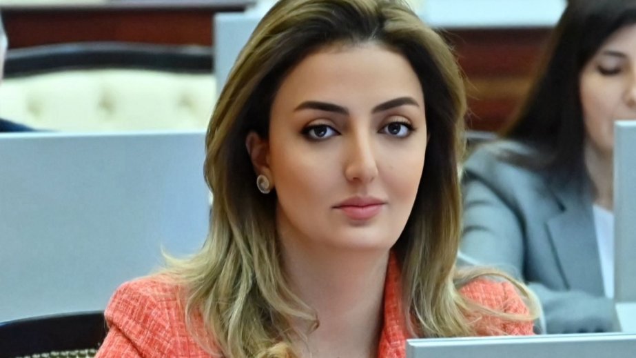 Slovakiyanın Azərbaycanın ədalətli mövqeyini dəstəkləməsi digər Aİ üzvlərinə də nümunə olmalıdır ŞƏRH