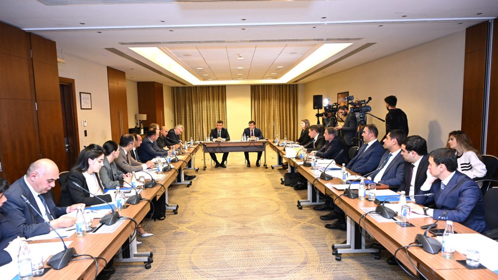 “Biznesin müflisləşməsi” üzrə təkmilləşmələrin və kommunikasiyanın həyata keçirilməsinə dair yeni təşəbbüslərin təqdimatı keçirilib