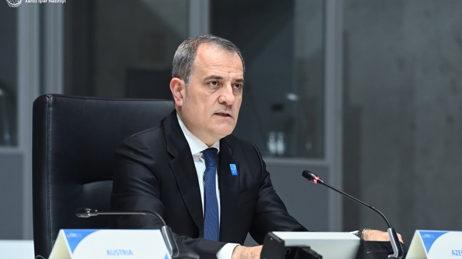 Azərbaycanın xarici işlər naziri Ukrayna Bərpa Konfransında iştirak edib