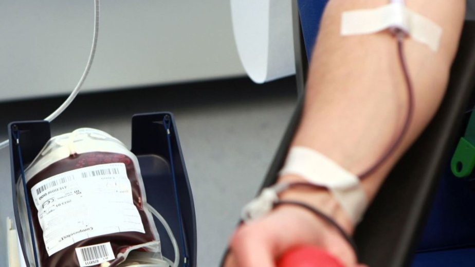 Qohum olan şəxslər təmənnasızlıqlarını rəsmi şəkildə təsdiqləməklə donor ola biləcəklər