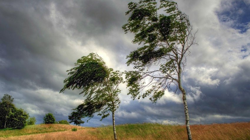 Küləkli hava şəraiti ilə bağlı XƏBƏRDARLIQ
