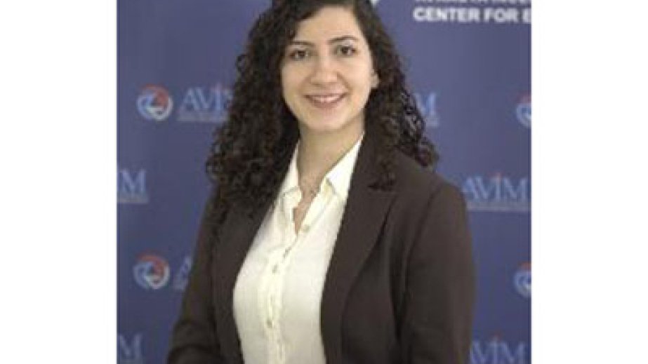 Türkiyəli ekspert: Azərbaycanın Ermənistan Konstitusiyasına dəyişiklik edilməsi ilə bağlı tələbləri haqlıdır