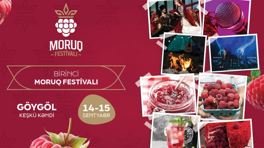 Göygöldə Azərbaycanın ilk Moruq Festivalı keçiriləcək