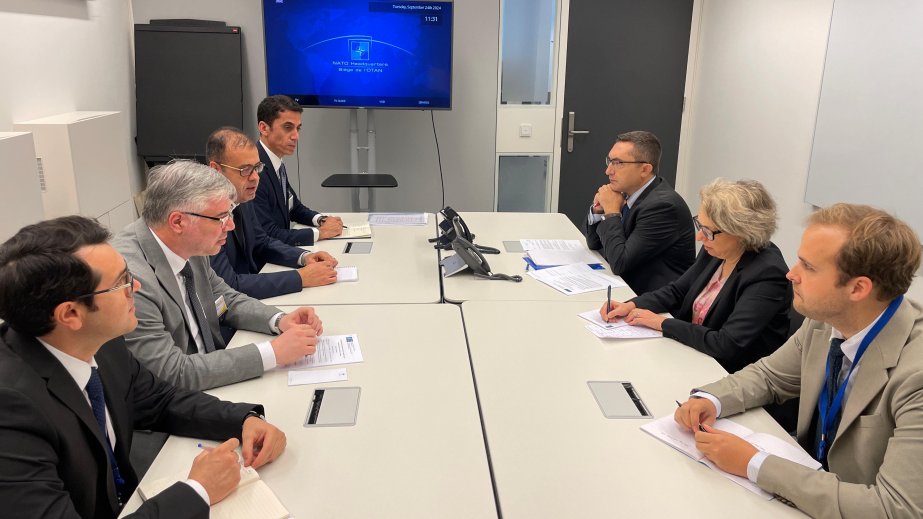 NATO Baş katibinin Əməliyyatlar üzrə köməkçisinin müavini Azərbaycanın üzləşdiyi mina təhlükəsi barədə məlumatlandırılıb