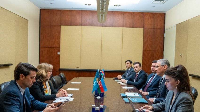 COP29 prezidenti biomüxtəliflik üzrə qarşıdakı sessiyanı Astrid Şomaker ilə müzakirə edib