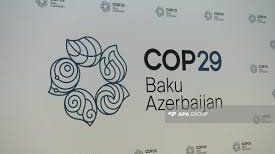 COP29 BMT-də:  Keçirilən görüşlərin əsas anları (VİDEO)