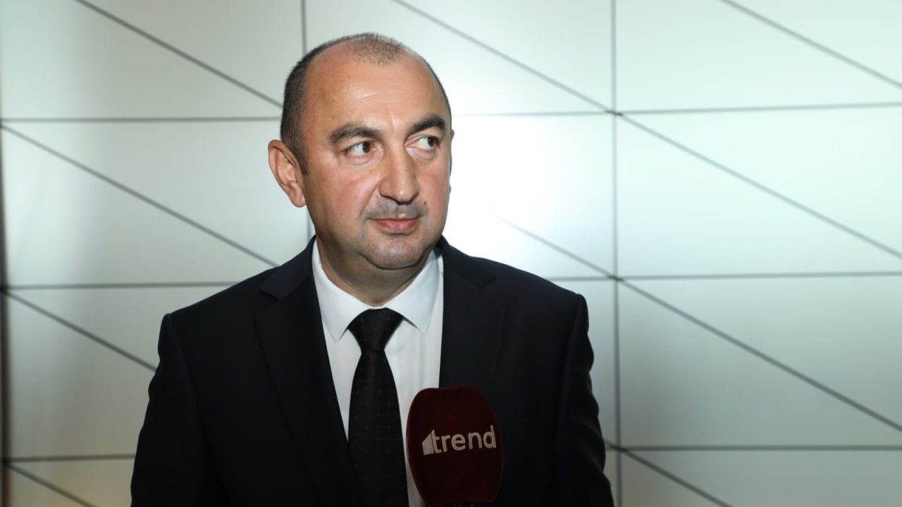 Son onilliklərdə istilik dalğalarının ən çox artımı Bakı və Şəkidə müşahidə olunub - Nazir müavini