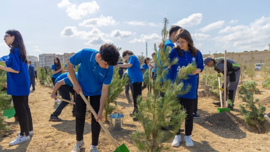 Anım Günü ilə əlaqədar paytaxtda ağacəkmə aksiyası keçirilib