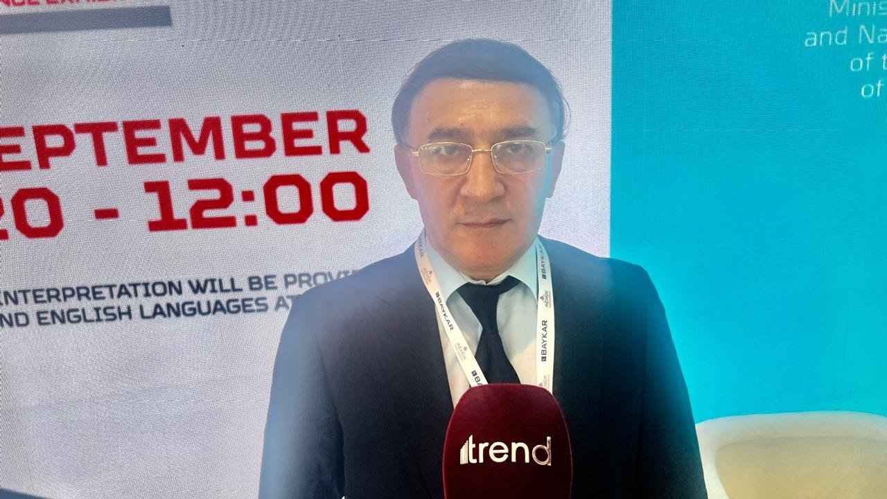 İşğal dövründə Füzuli və Ağdam rayonlarının bitki örtüyü azalıb