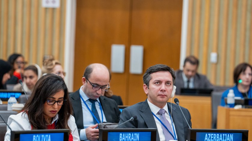 COP29 Sədrliyi tərəfindən Milli Adaptasiya Planlarına həsr olunmuş konfrans təşkil edilib