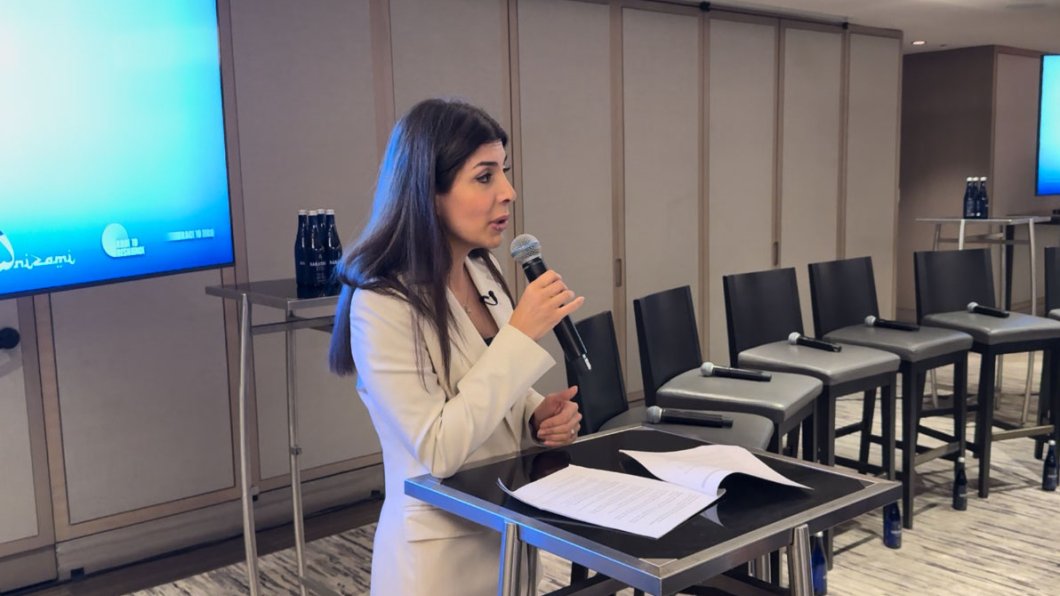 COP29  -   Nyu-Yorkda COP29-un BICFIT təşəbbüsünə dair müzakirələr baş tutub