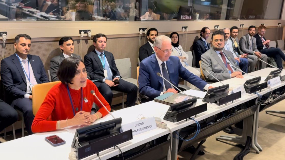 COP29  -    Nyu-Yorkda Azərbaycanın COP29 Sədrliyinin təşəbbüsü ilə “Rio Üçlüyü” təsis olunub