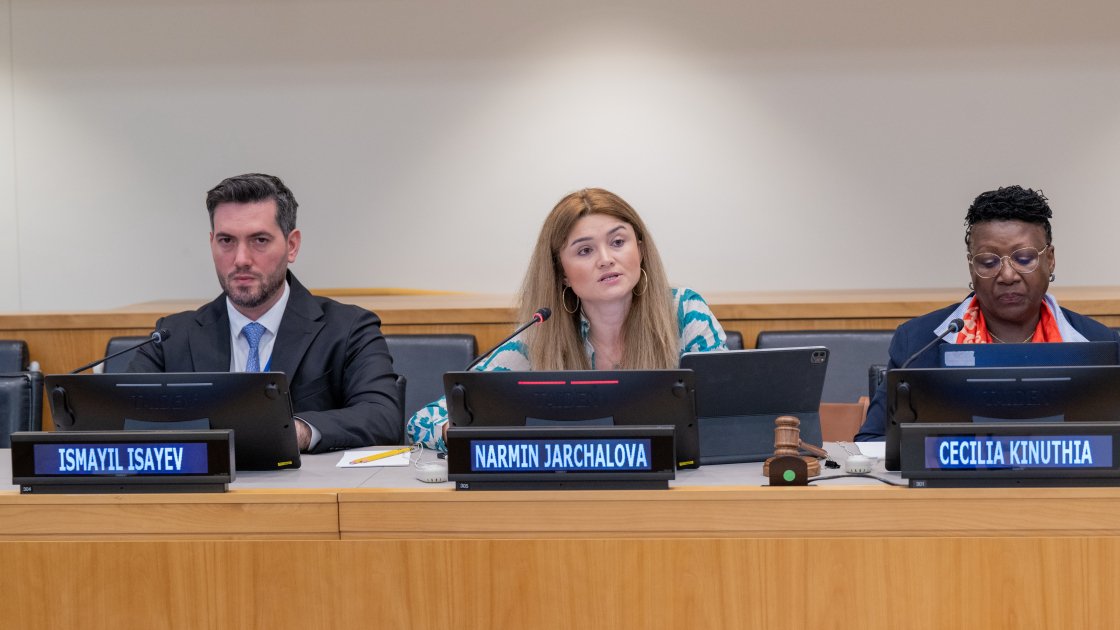 COP29 Azərbaycan Əməliyyat Şirkəti Nyu-York İqlim Həftəsində iştirak edir