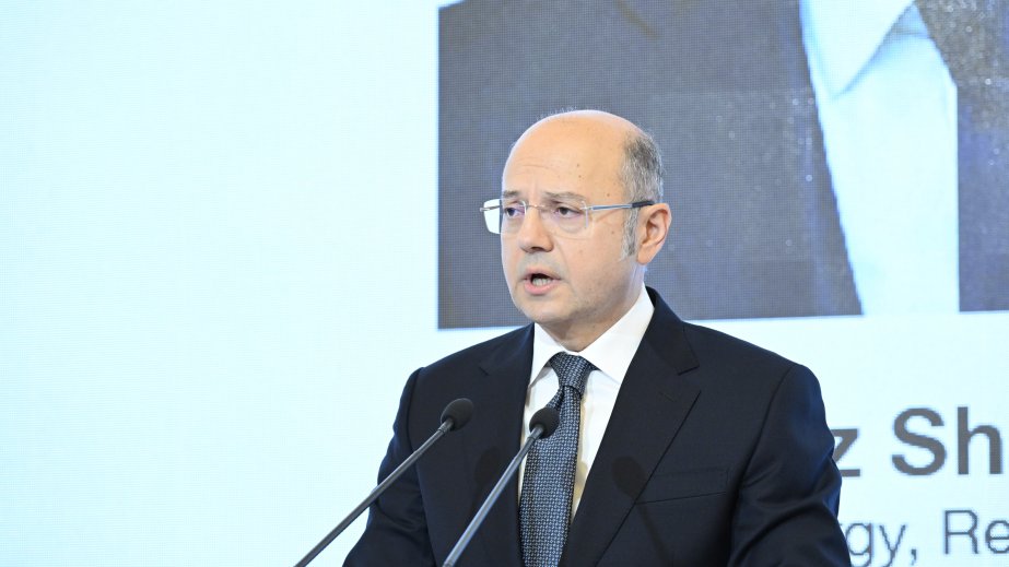 COP29    -    Azərbaycanda mövcud elektrik stansiyaları illik emissiyaları 3 milyon tona qədər azaltmağa imkan verir