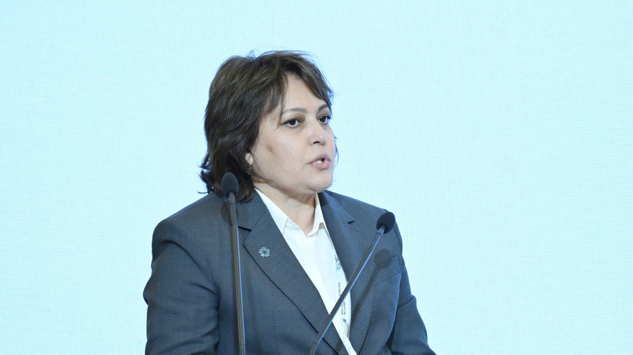 COP29  -   Nazir müavini: Son illərdə Azərbaycanda daşqınların sayı xeyli artıb