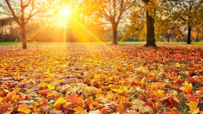 Oktyabrda  hava belə olacaq