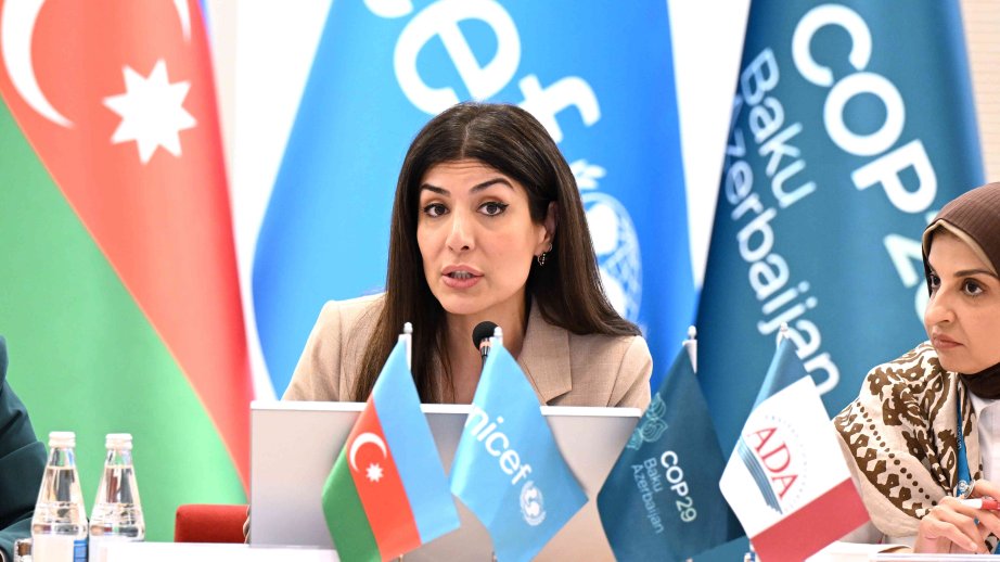 Nigar Arpadarai: İqlim dəyişikliyi zamanı həyata keçirilən fəaliyyətlərdə əlçatan maliyyə olmalıdır