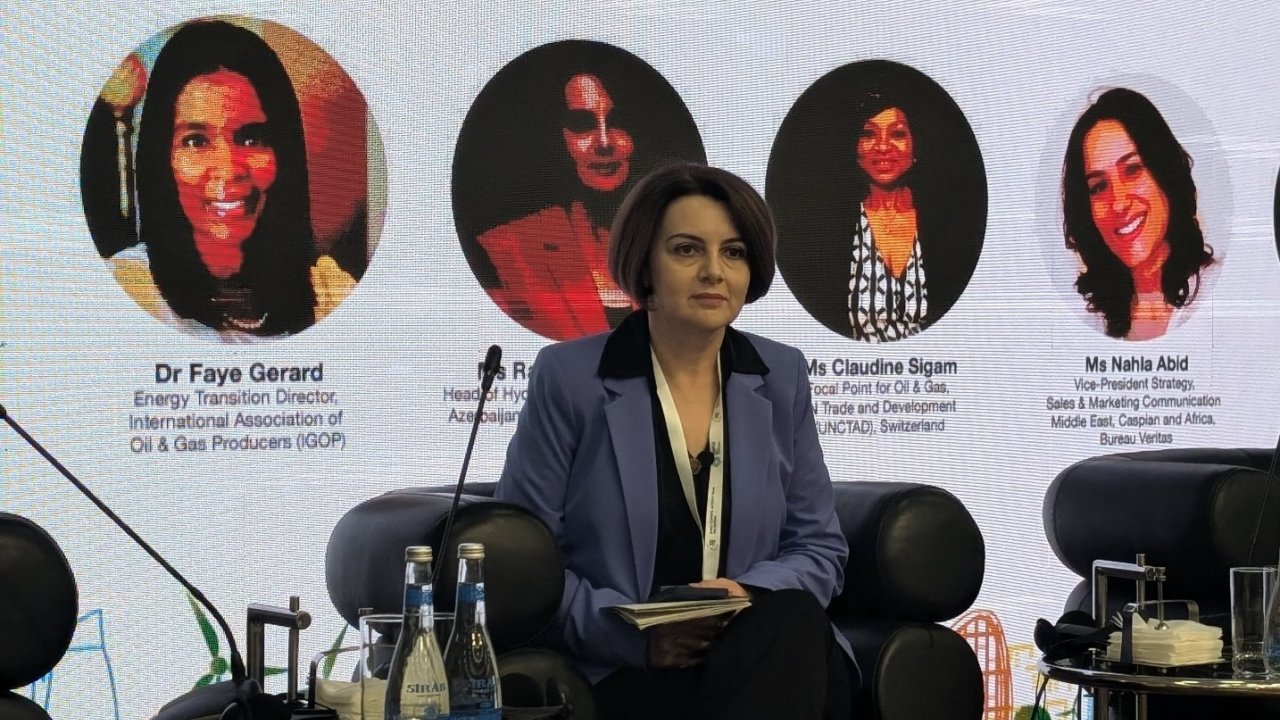 Yeni enerji növlərinə keçid zamanı mühüm aspekt istismar olunmuş neft-qaz yataqlarından geotermal enerji üçün istifadədir - Rəna Hümbətova