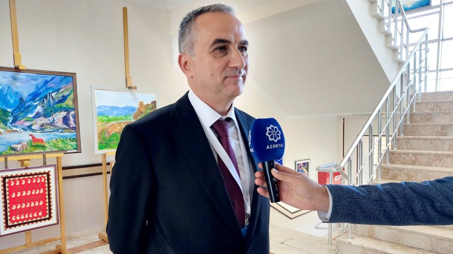 Fərid Şəfiyev: Türk Dövlətləri Təşkilatı üzv ölkələrin siyasi və iqtisadi cəhətdən güclənməsində mühüm rol oynayır