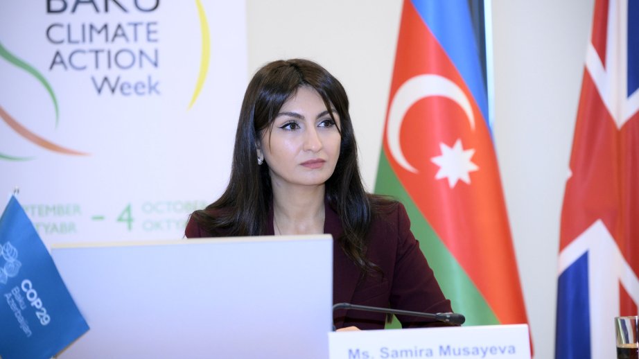 Azərbaycan karbon bazarı ilə bağlı mexanizmləri öyrənir