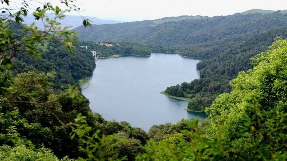 Azərbaycanda 893 min hektar sahədə xüsusi mühafizə olunan təbiət əraziləri var
