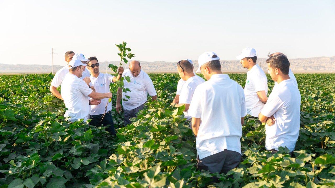 "Azərşəkər" və "Global Textil" şirkətlərinin birgə layihəsinin 2026-cı ilin ortalarına qədər tam şəkildə başa çatdırılması planlaşdırılır