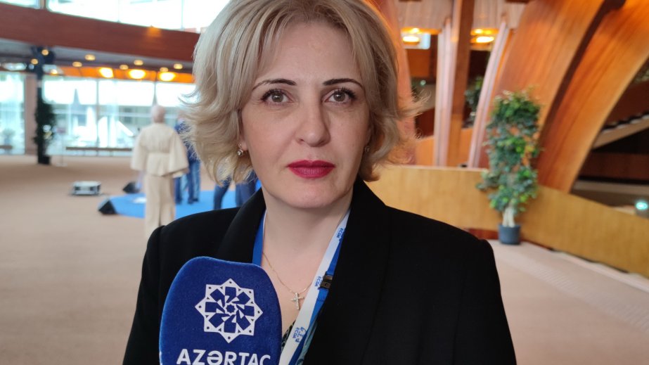 Eka Sepaşvili: AŞPA-da Azərbaycan nümayəndə heyətinin mövqelərini eşitmədən mühakimə yürütmək düz deyil